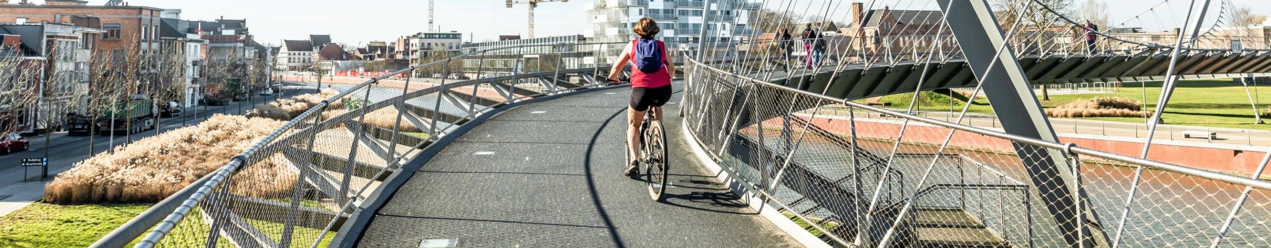 Fietser op de slangenbrug